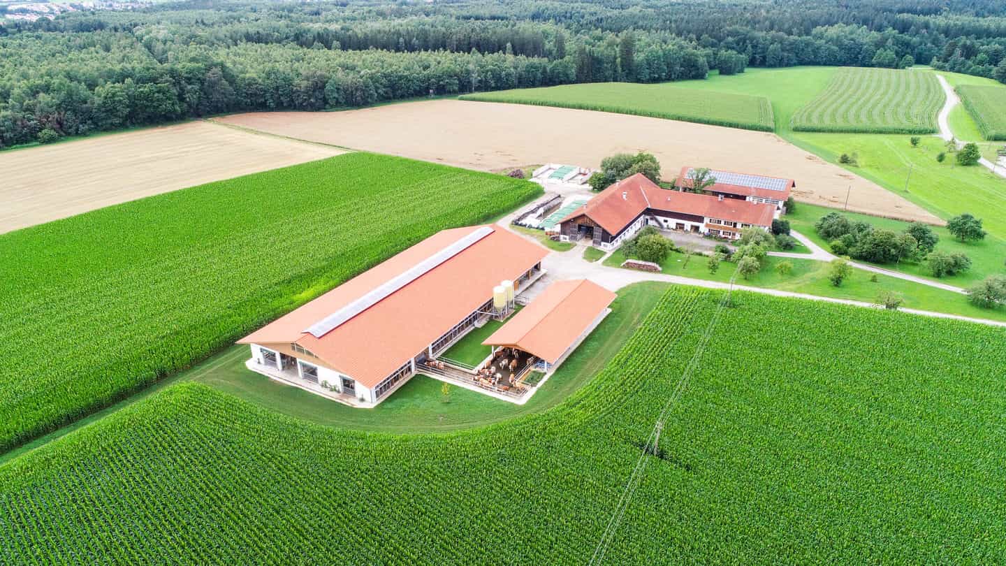 Luftaufnahme der Hofanlage mit neuem Milchviehstall in Isen zwischen Maisfeldern und Wald