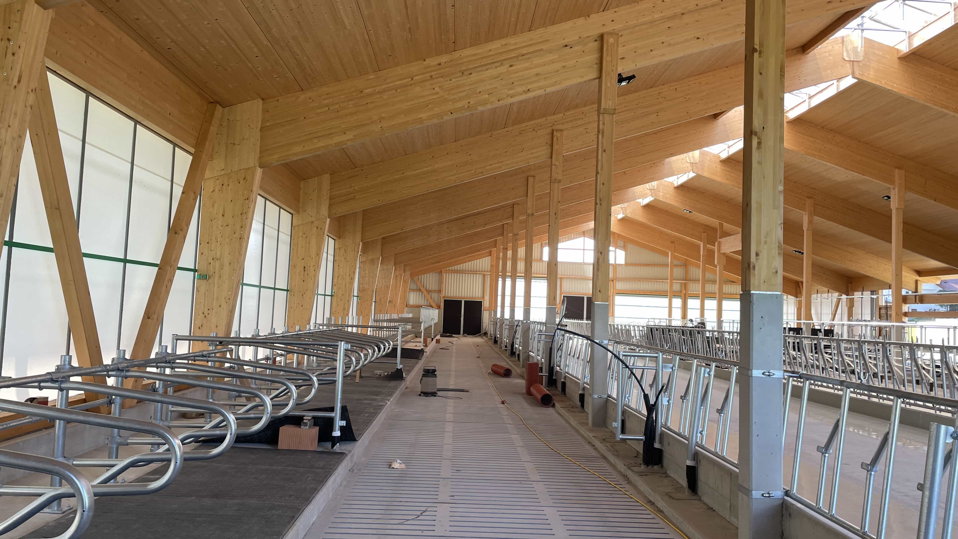 Innenansicht des Milchviehstalls in Pfaffenhofen mit Fressgitter und Holzdach