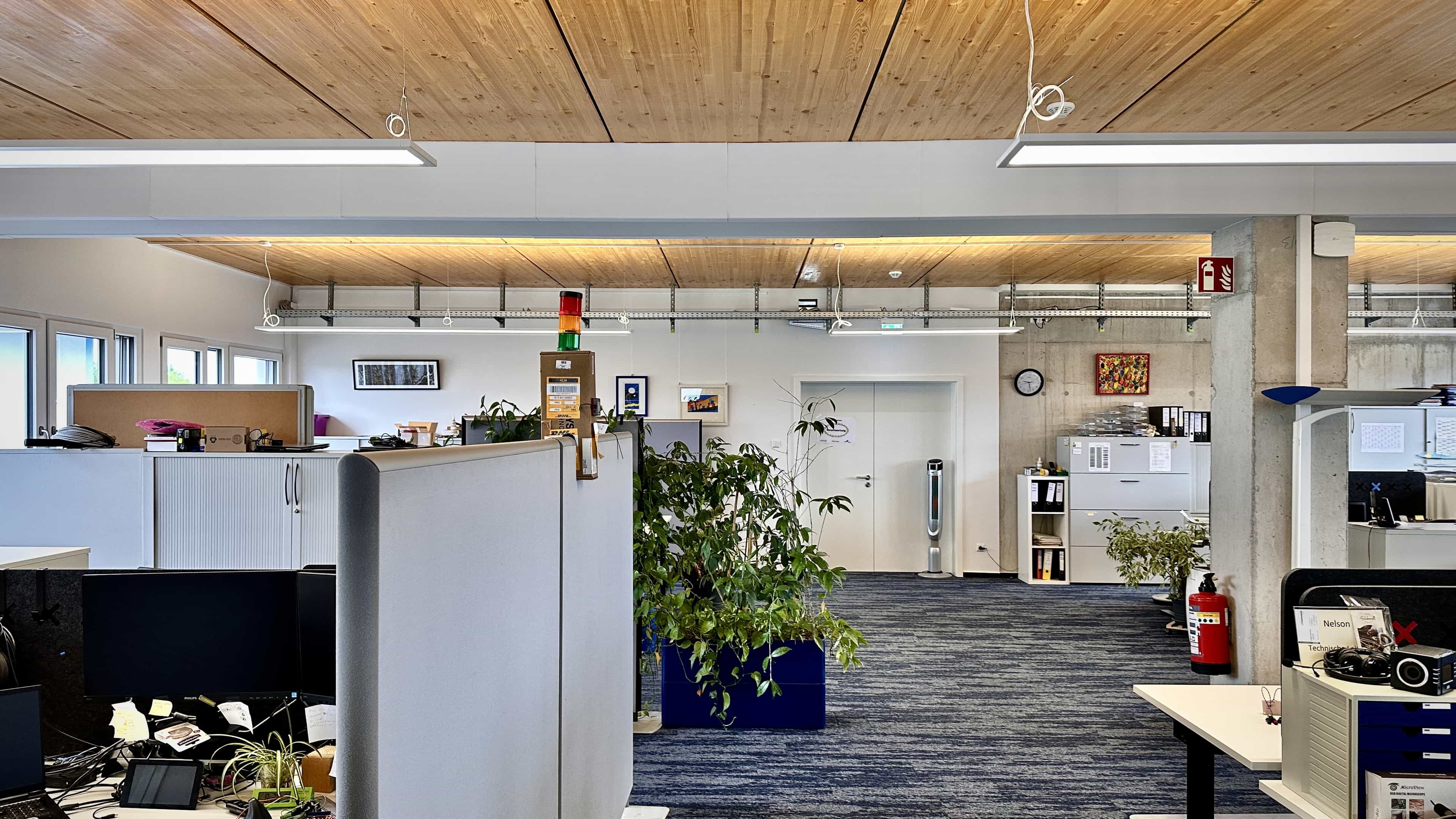 Großraumbüro der LXinstruments GmbH mit Holzdecke, Trennwänden und Pflanzen