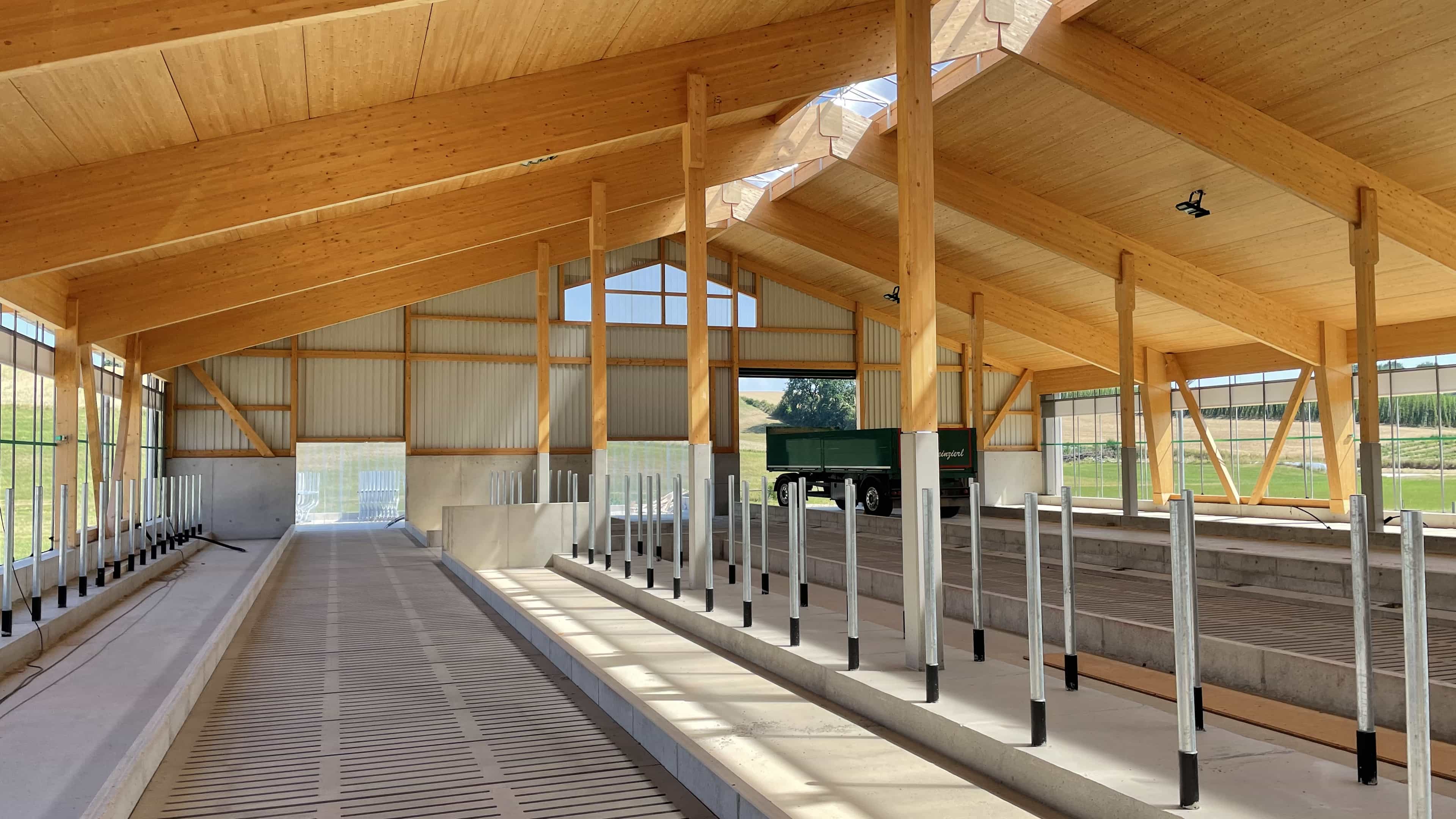 Liegeboxen und Laufgang im Milchviehstall in Pfaffenhofen unter Holzdach