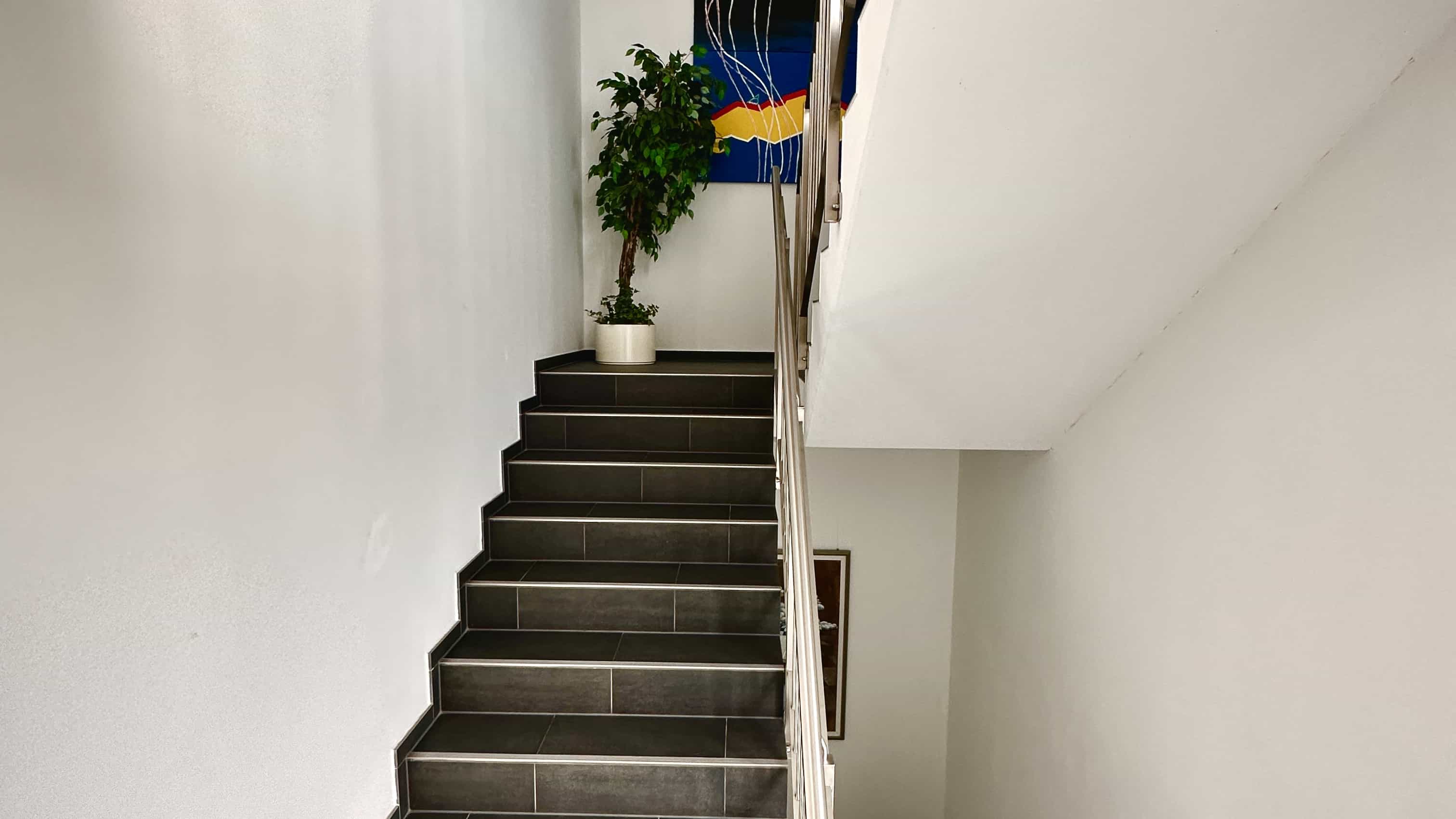 Treppenhaus mit dunklen Fliesenstufen und Pflanze im Bürogebäude LXinstruments