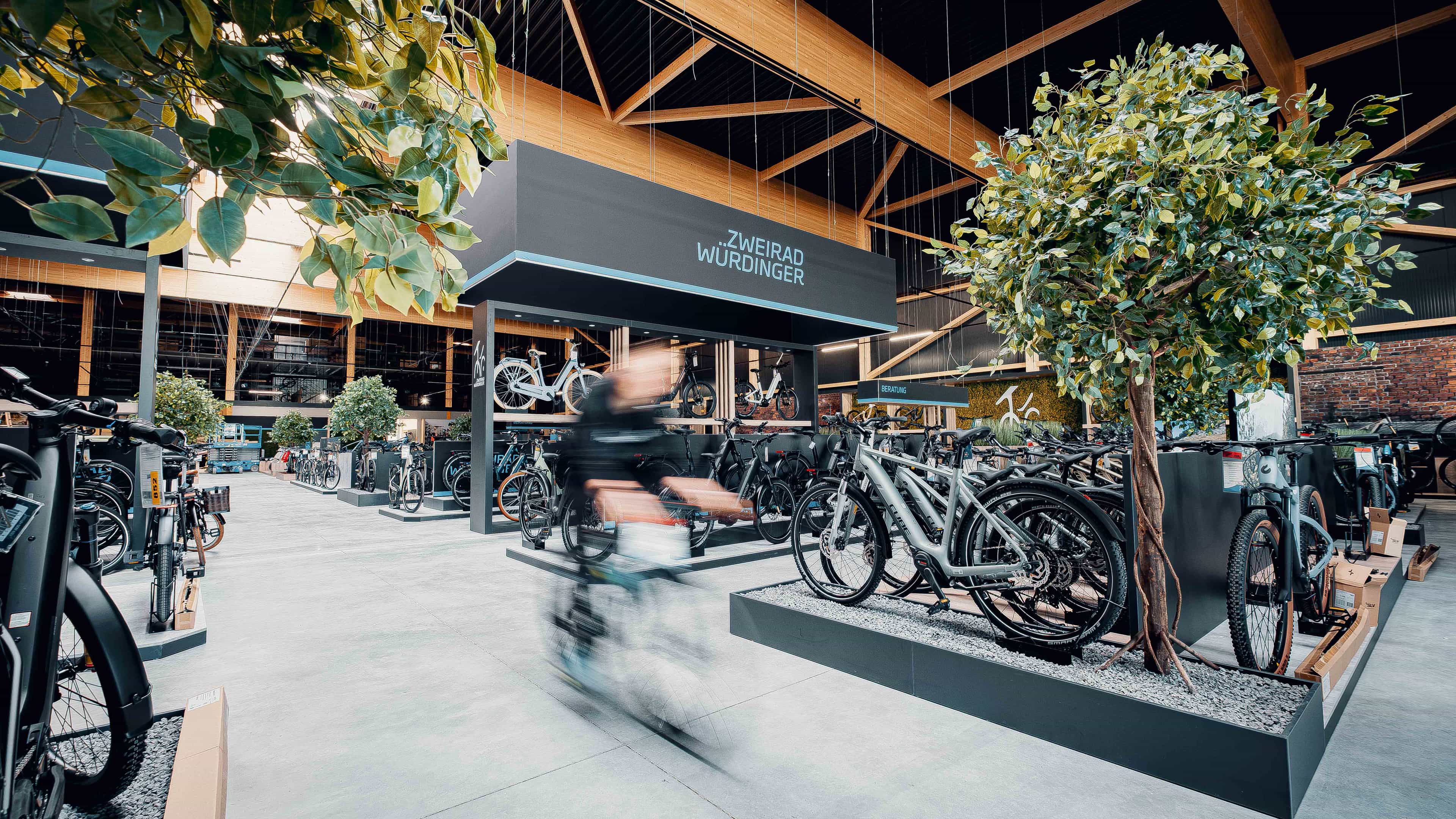 Ausstellung mit E-Bikes, Bäumen und Holzdecke im Gebäude von Zweirad Würdinger in Eggenfelden, Haas Gewerbebau