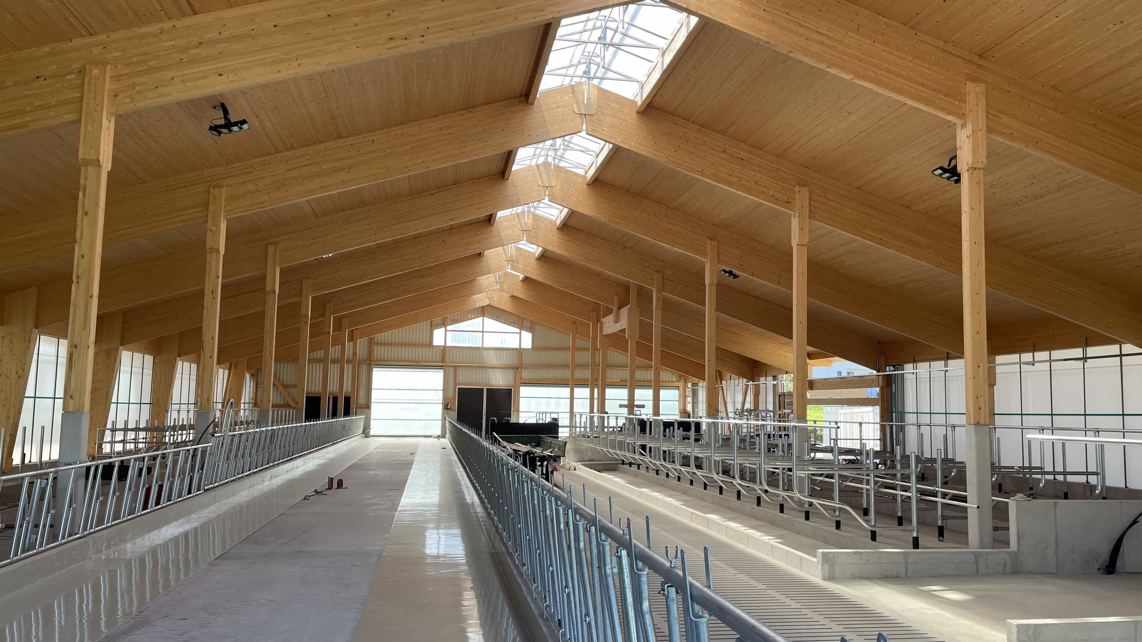 Innenansicht des Milchviehstalls in Pfaffenhofen mit Lichtfirst und Liegeboxen