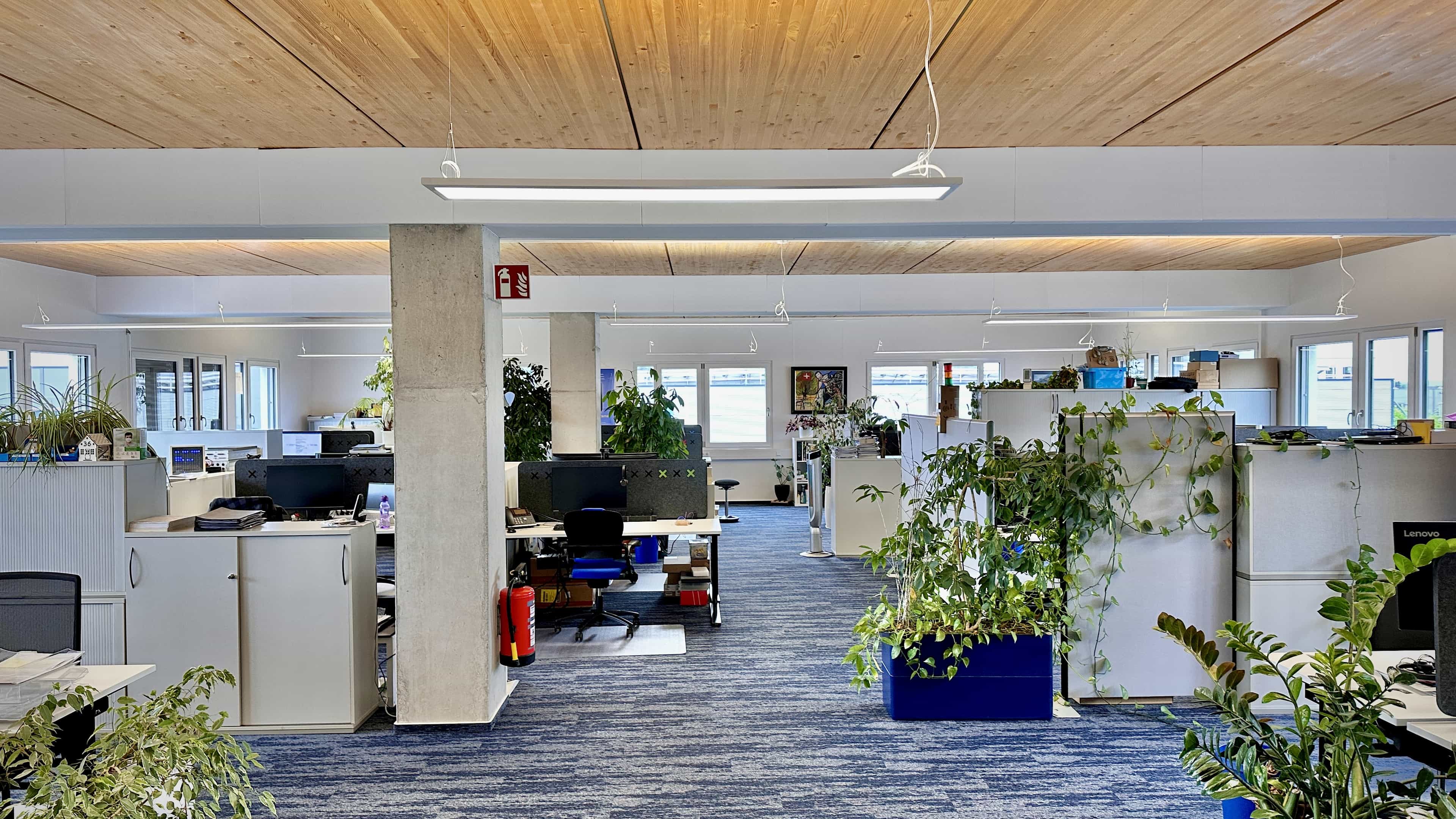 Großraumbüro bei LXinstruments mit Holzdecke, Betonstütze, Pflanzen und blauem Teppich